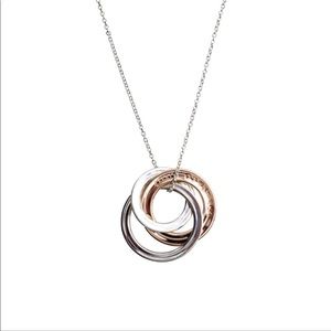 Tiffany’s Interlocking metal necklace
